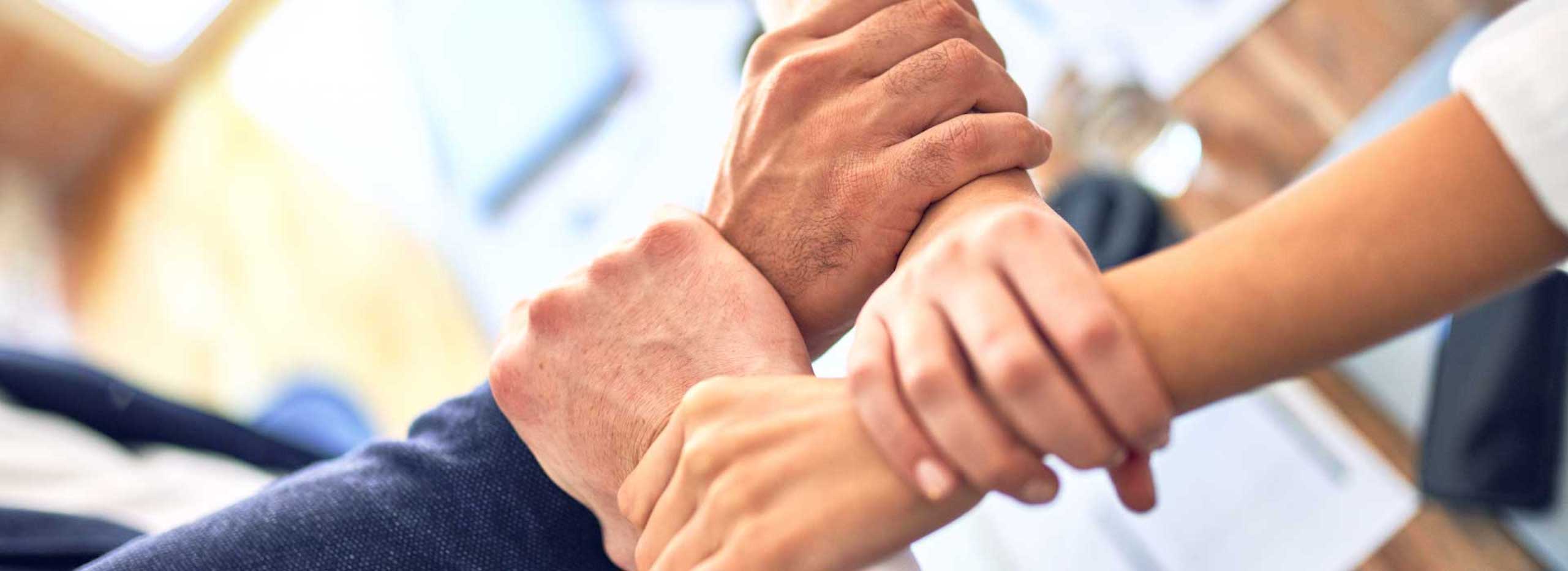 banner-principale-18